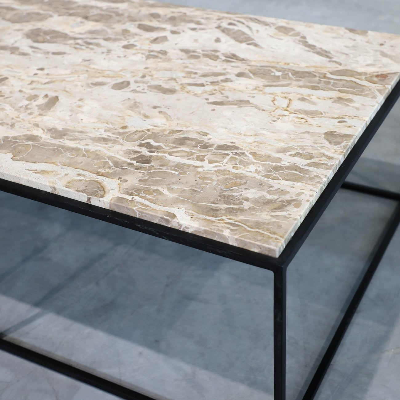 Dion Coffee Table Coffee Table | littleCOCO